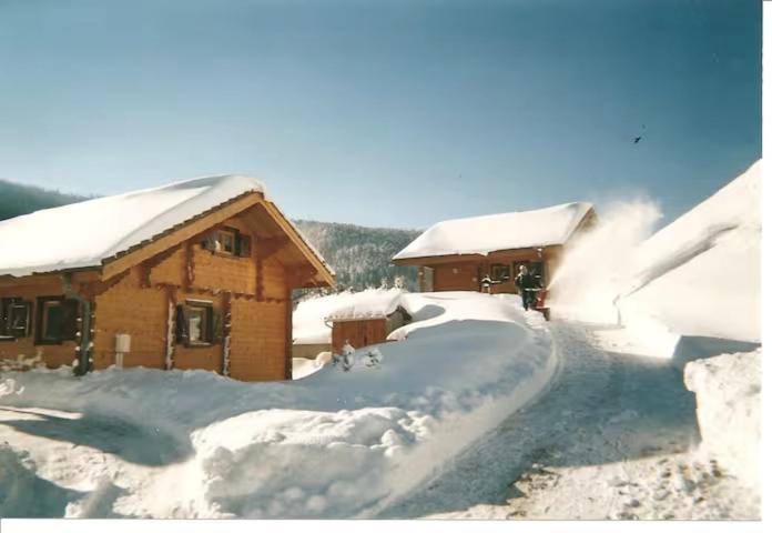 Le "Chalet De Minette" 2 Etoiles La Bresse Exterior photo